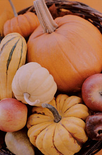 Which Fall Fruit/Veggie Are You Looking Forward To?