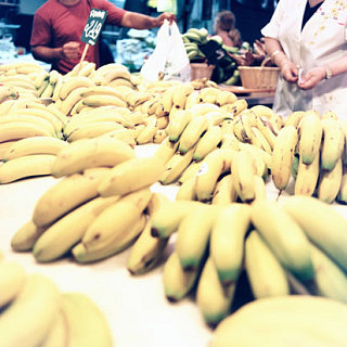 Let's Go Bananas!!!