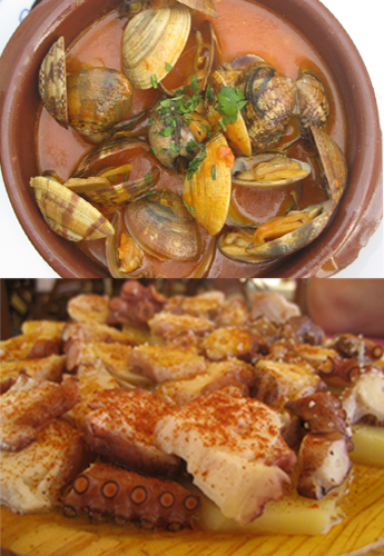 Would You Rather Eat Clams Or Octopus?