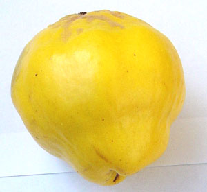 Quince