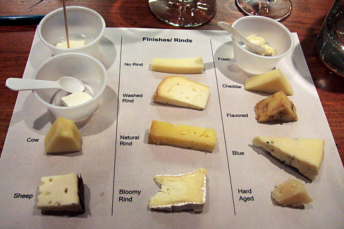Yummy Link: Learn More About Cheese Yummy Link: Learn More About Cheese