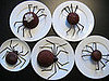 Yummy Link: Creepy Cakes