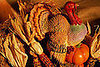 Come Party With Me: Classic Thanksgiving — The Look