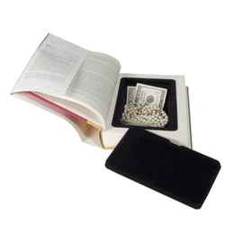 Brilliant or Baffling? Book Safe