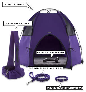 Online Sale Alert for Your Pet! The W Hotel Store