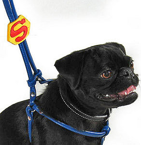 Superdog Leather Harness