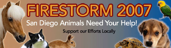 To the Rescue: Donating to Charity To the Rescue: Donating to Charity
