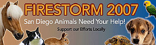 To the Rescue: Donating to Charity