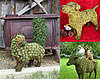 Miracle Grow a Pet in Your Garden?