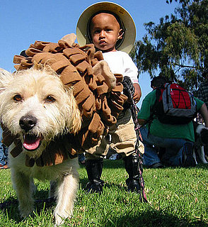 To the Rescue: How Do You Keep Pets Safe on Halloween?