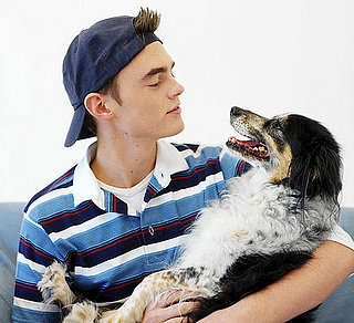 Pet Peeves: My Dog Has Dirty Teeth