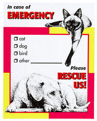 On the Ball: Pet's Emergency Kit On the Ball: Pet's Emergency Kit