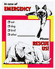 On the Ball: Pet's Emergency Kit