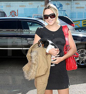 New Puppy Alert! Amanda Bynes