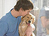 Who Gets More Hugs: Pets or People?