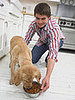 To the Rescue: Counting Calories for Dogs