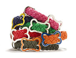 Pet Present Extravaganza: Collars for Cats and Dogs