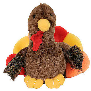 T'giving Tip: Keep Pets Entertained