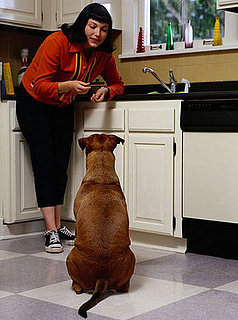 T'giving Tip: A Taste Is All It Takes