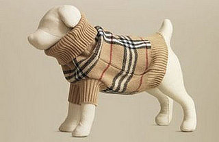 Trend Setters: Preppy Pets Rock . . . Plaid