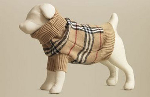 Trend Setters: Preppy Pets Rock . . . Plaid
