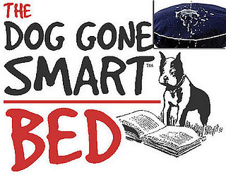 Out and About: Connecticut's Dog Gone Smart Bed 