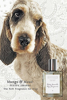 Petit Amande: Spoiled Sweet or Spoiled Rotten?