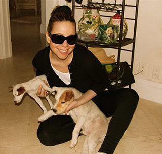 New Puppy Alert! Mariah Carey