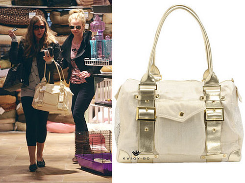 Found! Britney's New Carrier (and Dog?)