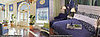Out and About: Georgia's Hotel Indigo