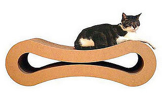 Whose Sweet Kitty Wants to Win?