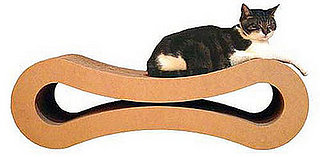 The Sweet Kitty Lounge Winner Is . . .