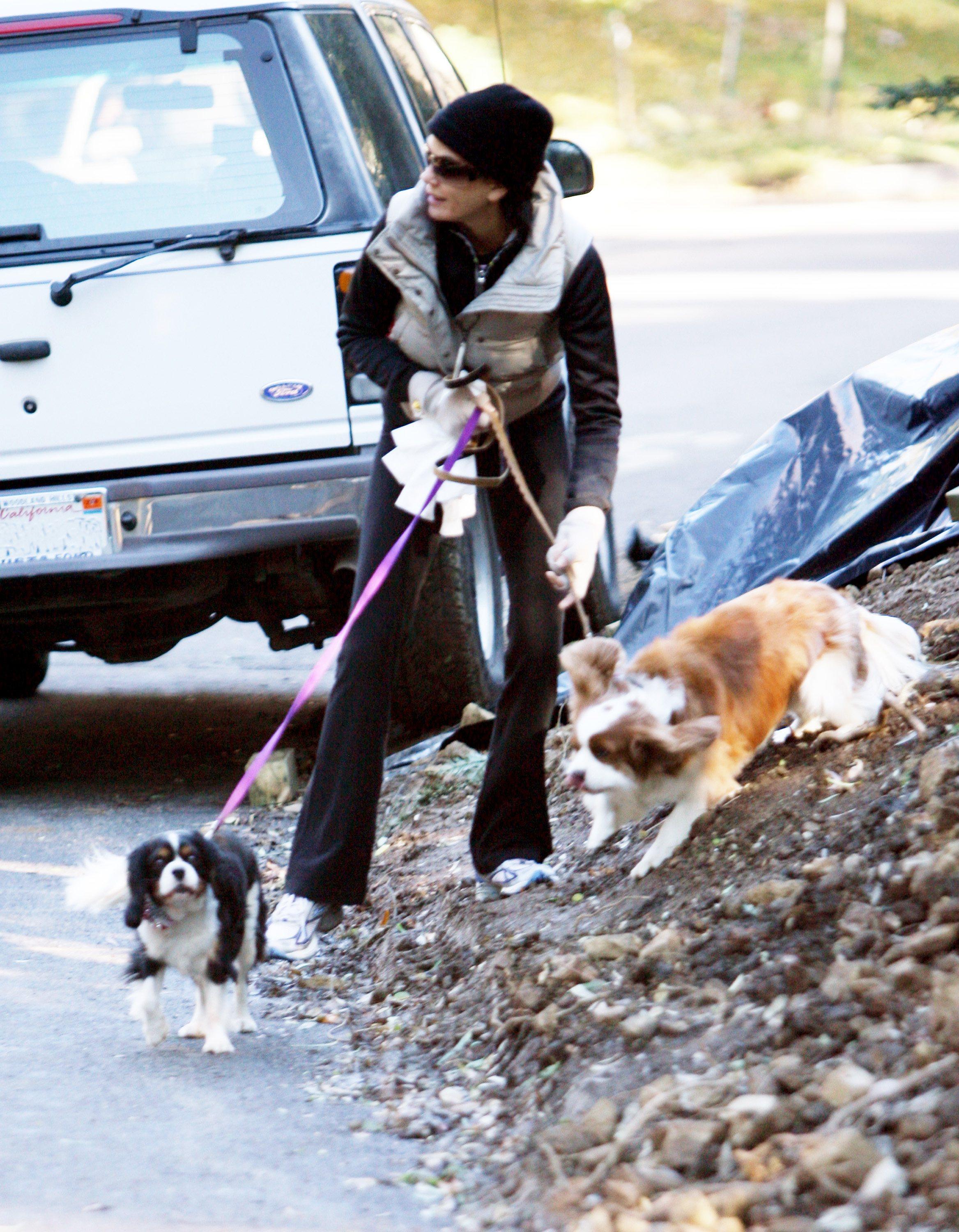 teri hatcher dog walk 091207 teri hatcher dog walk 091207