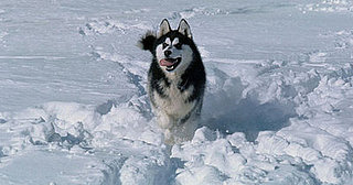 Ten Tips 'Til The Holiday: Freezing Temps