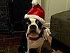 Christmas Presents – Yum!
