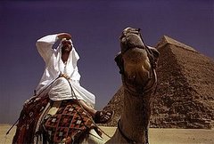 Where in the World Is Osama Bin Laden? Where in the World Is Osama Bin Laden?