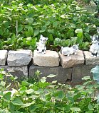 Kitties guarding the Greens and Beans.