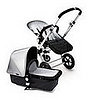 Neiman Babies Cruise in Special Edition Bugaboos!