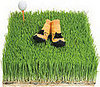 Golf Socks for Kids