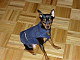 aquasia2 aquasia2
