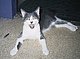 m_cain2003 m_cain2003