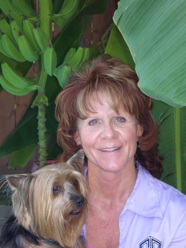 Banana Trees