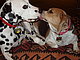 mattieandphoebe