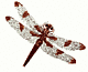 katycad katycad