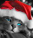 wendymeows