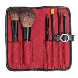 Giveaway of the Day! Sephora Two Tone Portfolio Brush Set