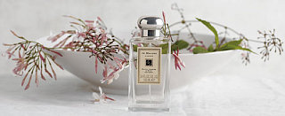 Coming Soon: Jo Malone White Jasmine and Mint Cologne 