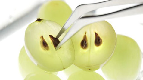 Grapeseed Oil