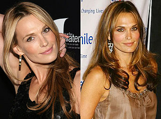 Do You Like Molly Sims Better as a Blonde or Brunette?