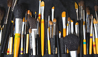 BellaSugar's Guide To Makeup Brush Hair Types 